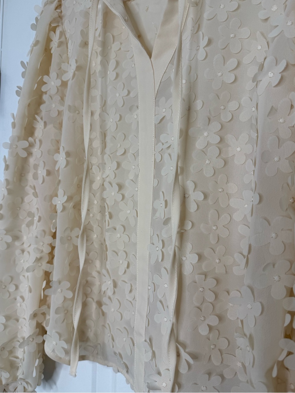 Cream Floral Appliqué Sheer Blouse
